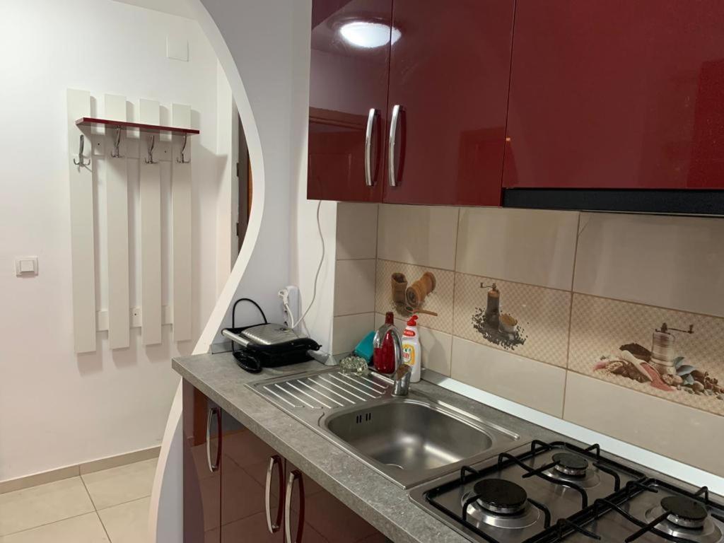 Garsoniera Natalia Διαμέρισμα Σίμπιου Εξωτερικό φωτογραφία